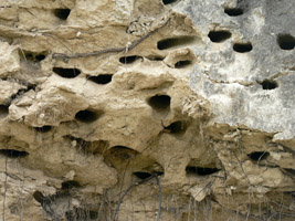 Вот так они вблизи выглядят