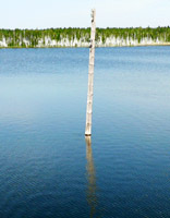 Столб в соседнем озере - тут тоже был карьер