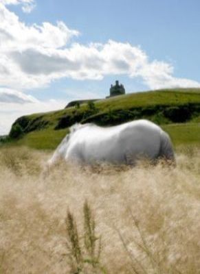 Южный Урал - поездки по окрестностям