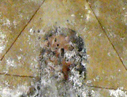 Роспись над алтарем, лик Бога; хорошо видны следы пуль