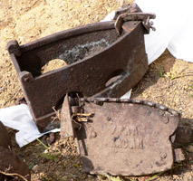 Такой симпатичный утюг