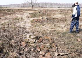 Остатки 'глухой ограды' подворья