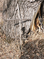 Связанный из веток крест