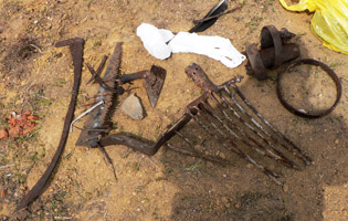 Наши находки