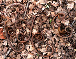 Декоративные элементы от решетки окна